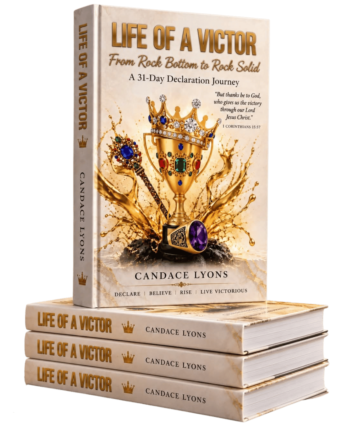 Life of a Victor book cover